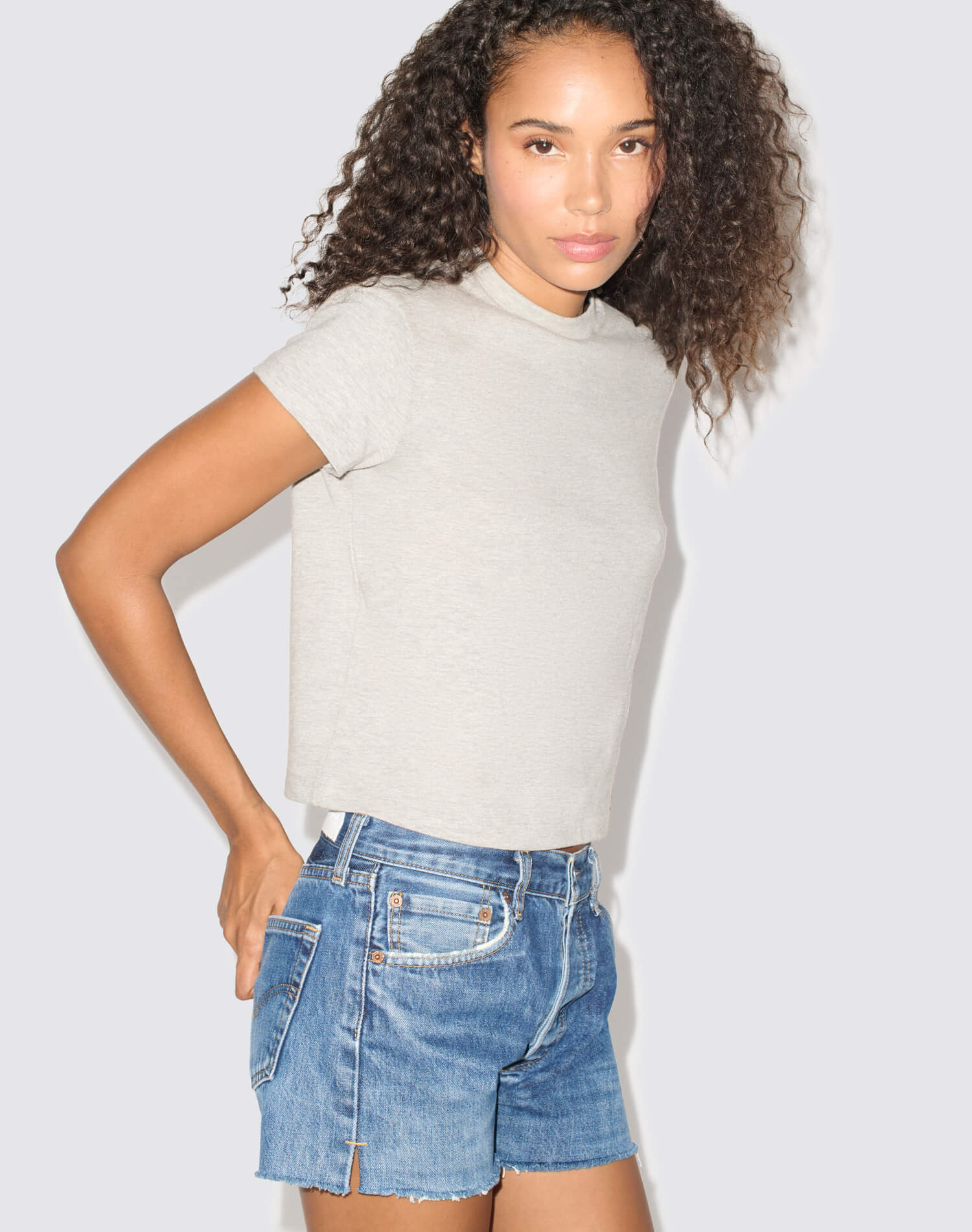 Hanes 1950s Boxy Tee - Heather Grey