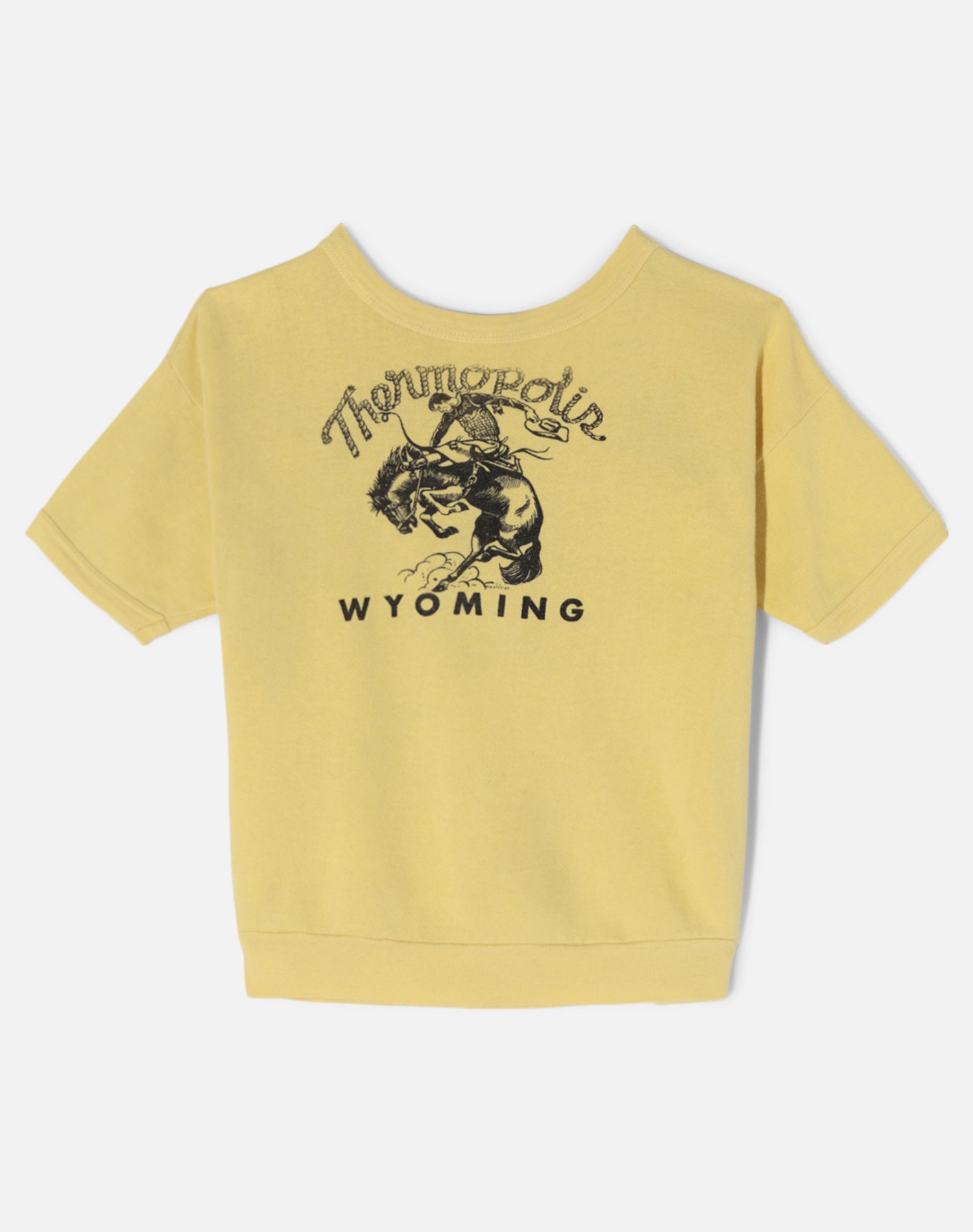 Vintage 70s Wyoming Short Sleeve Sweatshirt - #1709