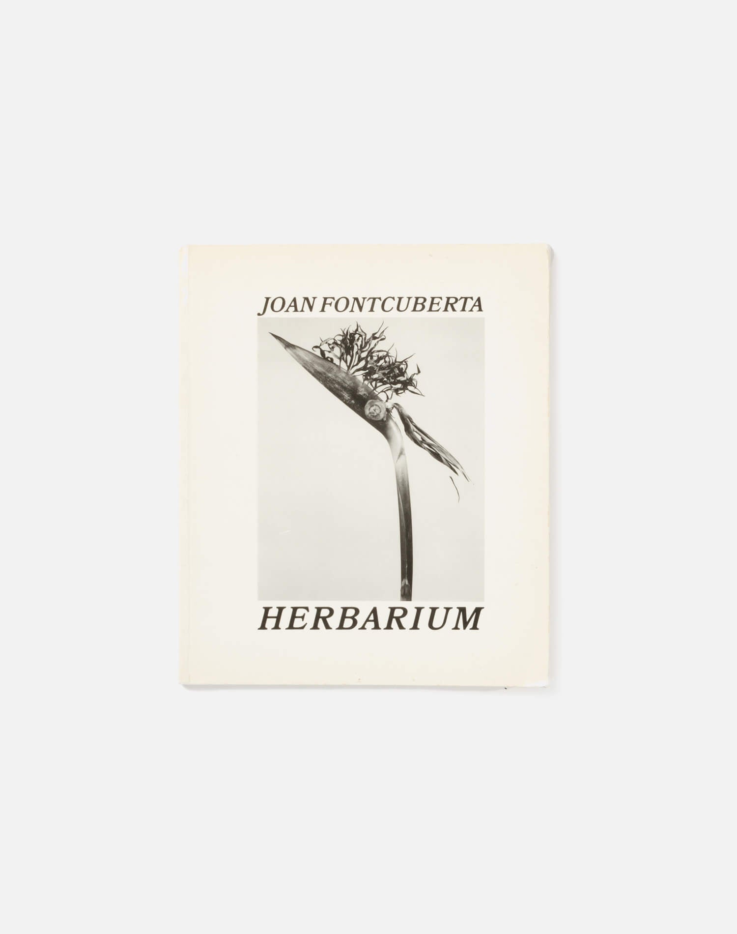 Herbarium by Joan Fontcuberta - #2